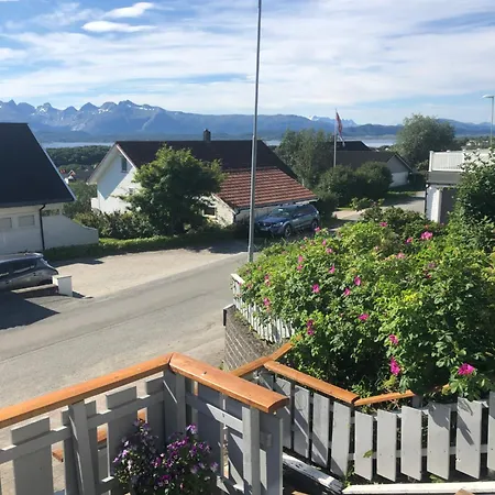 Panorama View *