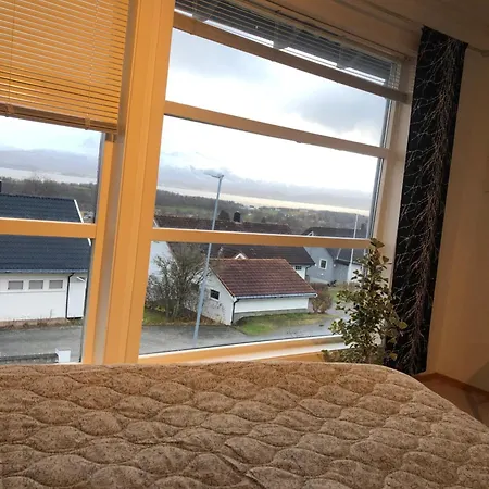 Panorama View *