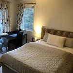 Panorama View *